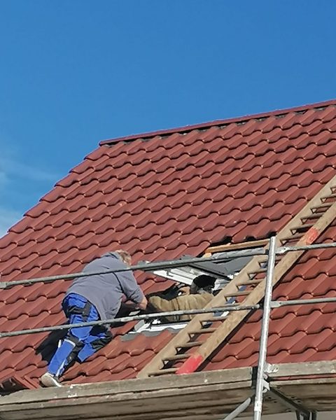 dach7 dach7